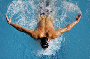 butterfly stroke